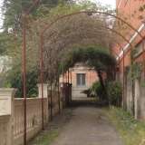 Il tunnel di vegetazione che costituisce l'accesso a villa Serafina
